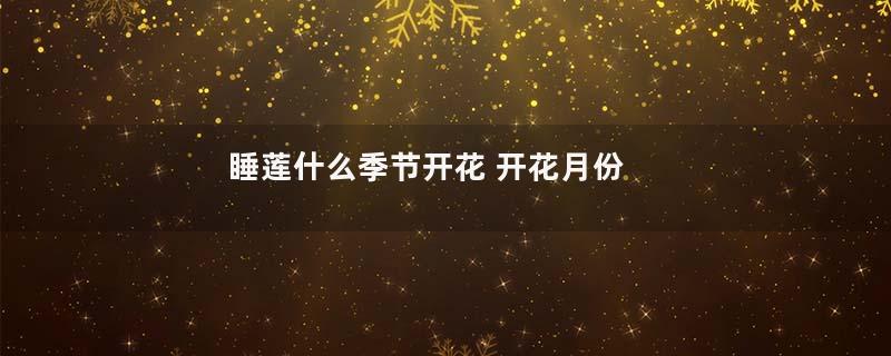 睡莲什么季节开花 开花月份